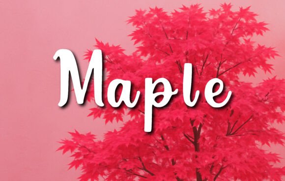 Maple: The Perfect Script Font for Handmade Crafts and Small Shops